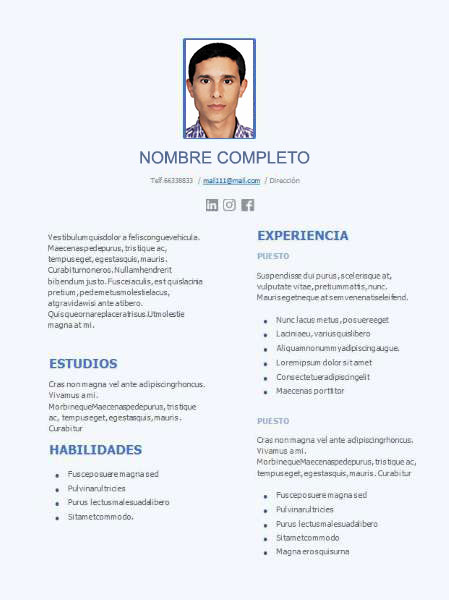 plantilla currículum analista sistemas informáticos
